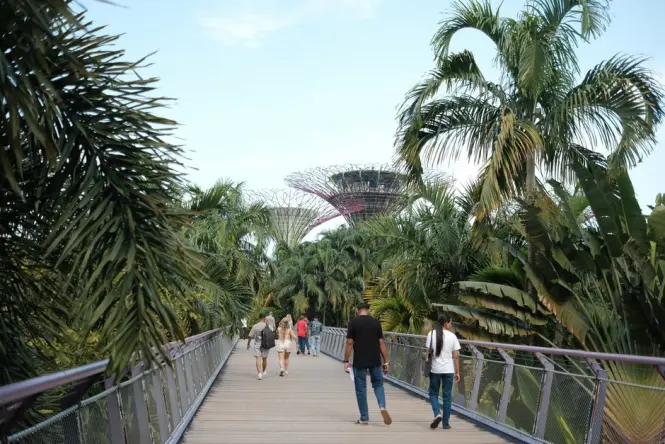 Inside Singapore Zoo
