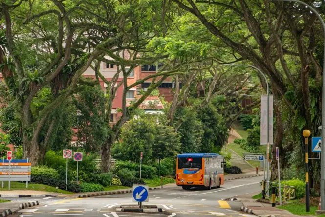 Getting to Singapore Zoo in Singapore