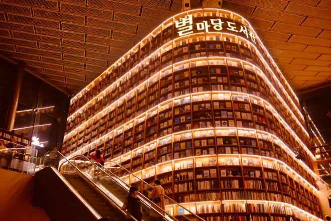 Sunlight filtering onto tall bookshelves at Starfield Library