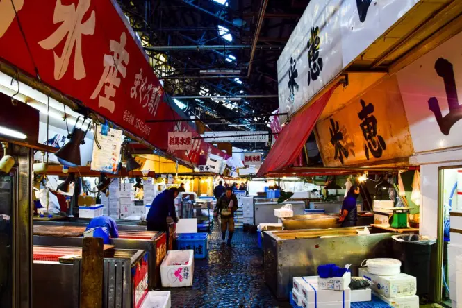 Quiet early morning stalls at Sydney Fish Market before crowds arrive