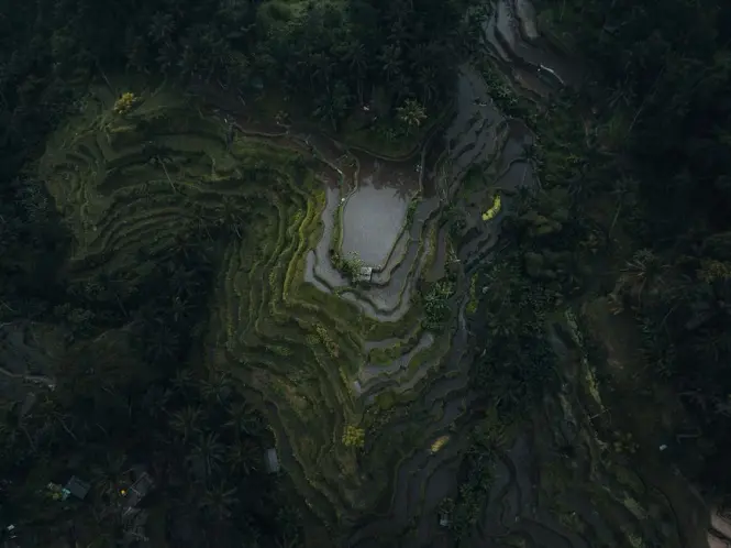 Historic architecture at Tegallalang Rice Terraces