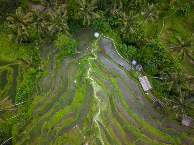 Tickets and entrance at Tegallalang Rice Terraces