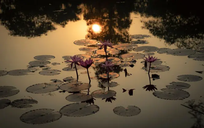 Thang Long Water Puppet Theatre at golden hour