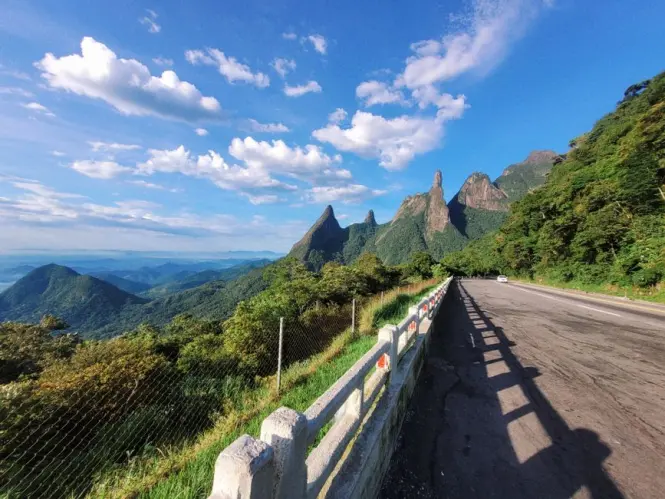 Inside Tijuca National Park