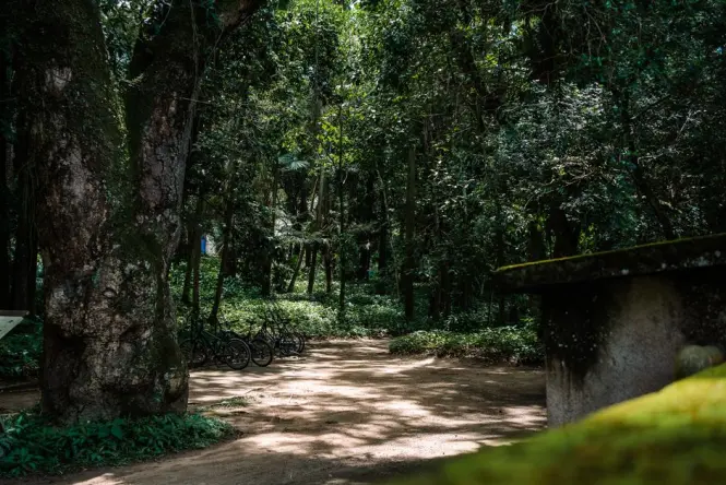 Getting to Tijuca National Park in Rio de Janeiro