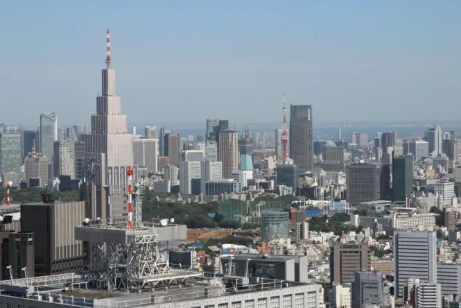 Shinjuku skyline framed by the government building towers