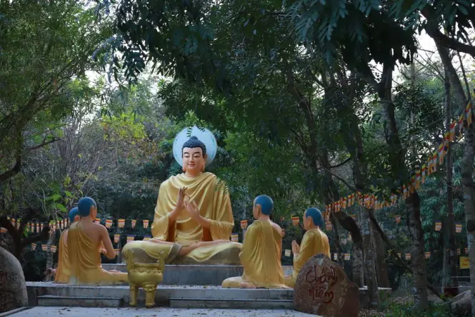 Bodhi tree and bonsai garden inside Tran Quoc Pagoda grounds
