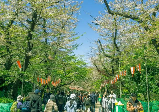 Getting to Ueno Park & Zoo in Tokyo