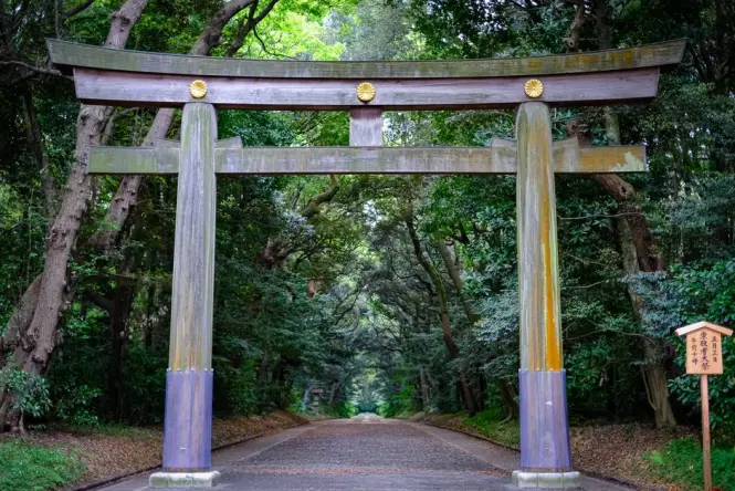 Forest gate toward Meiji Shrine from Harajuku side