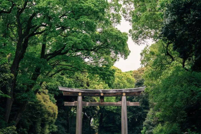 Jogging path under trees in Yoyogi Park