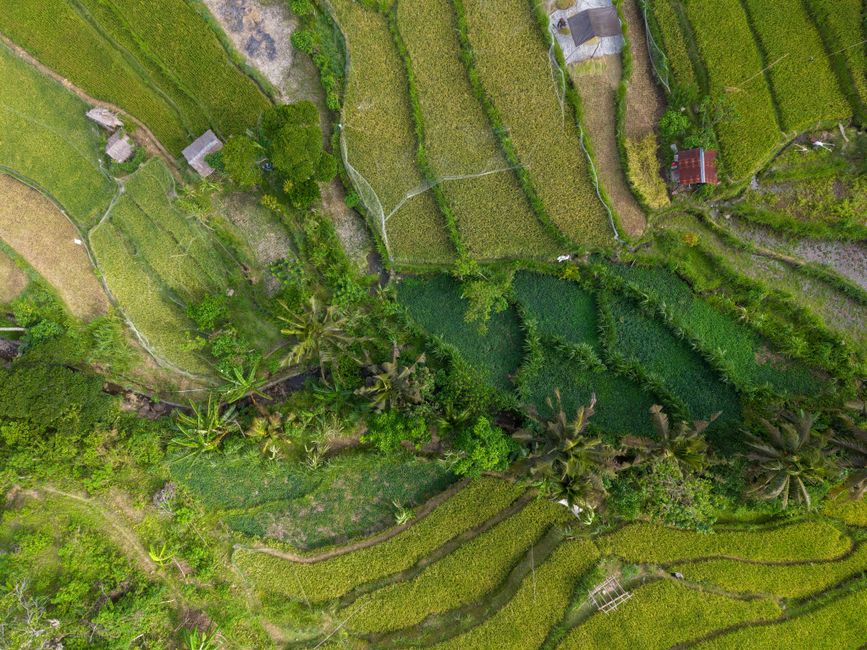 Best time to visit Bali: when to go and when to avoid