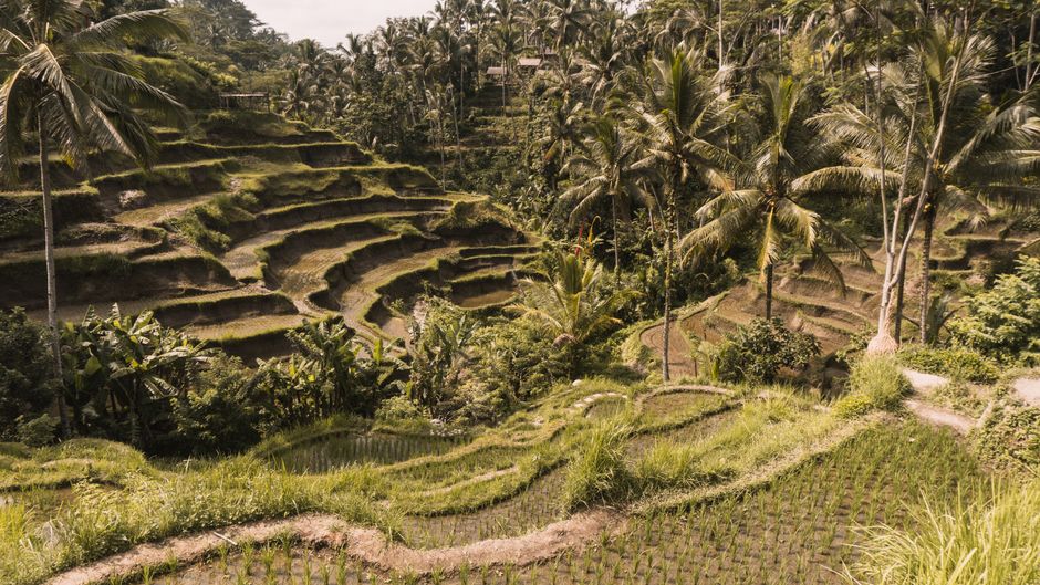 Bali vs Phuket: which destination is better for your next trip?