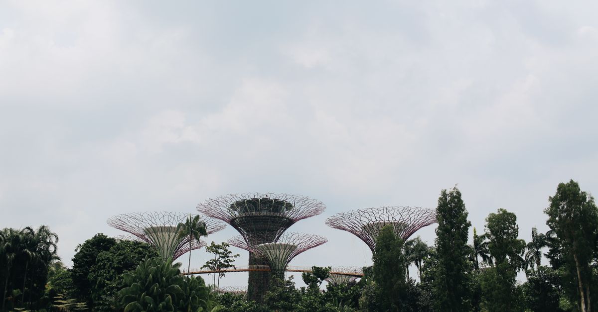 Singapore in 3 days: the complete itinerary