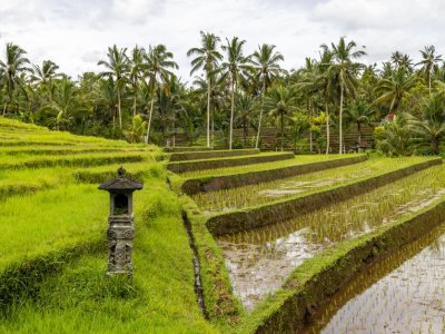 Bali
