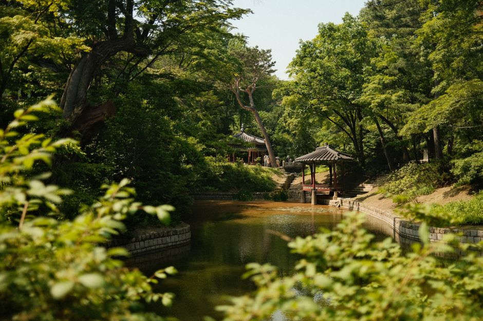 Changdeokgung Secret Garden in Seoul