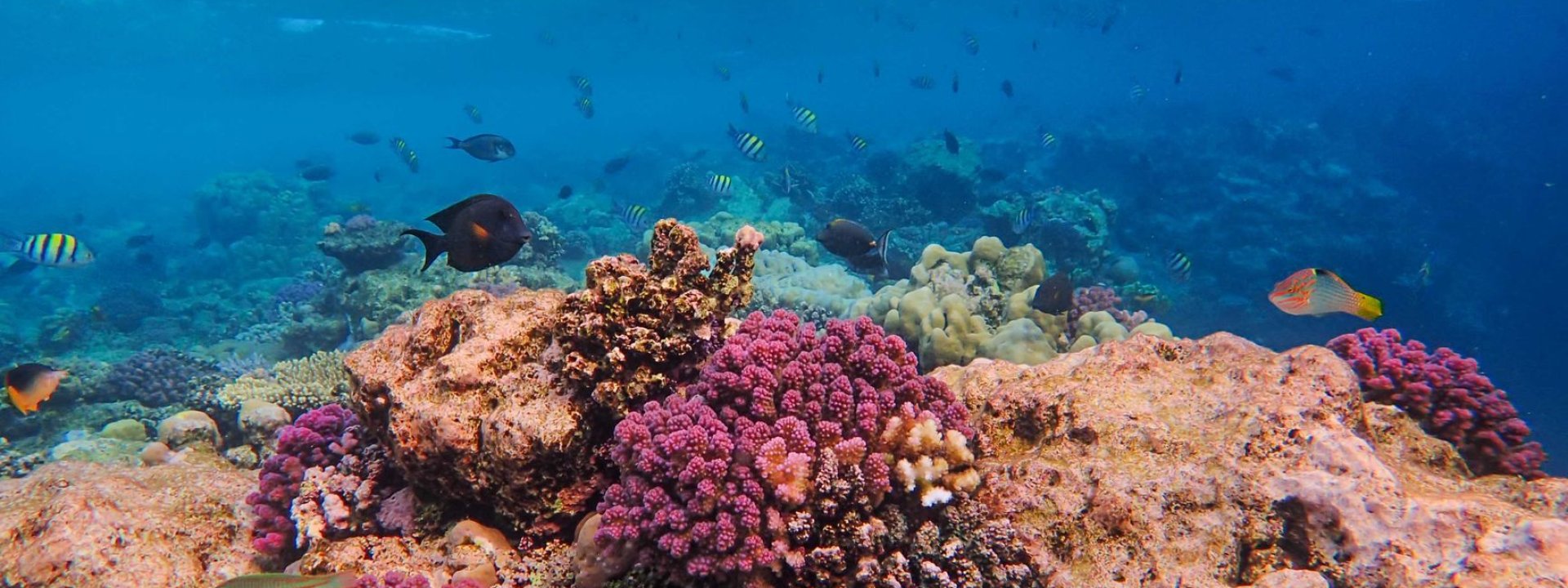 Cocos Islands