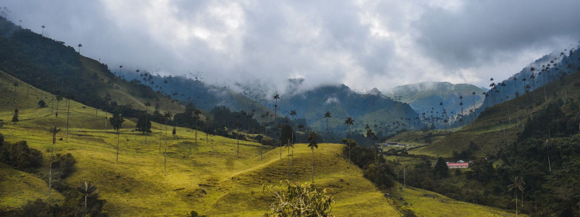 Colombia