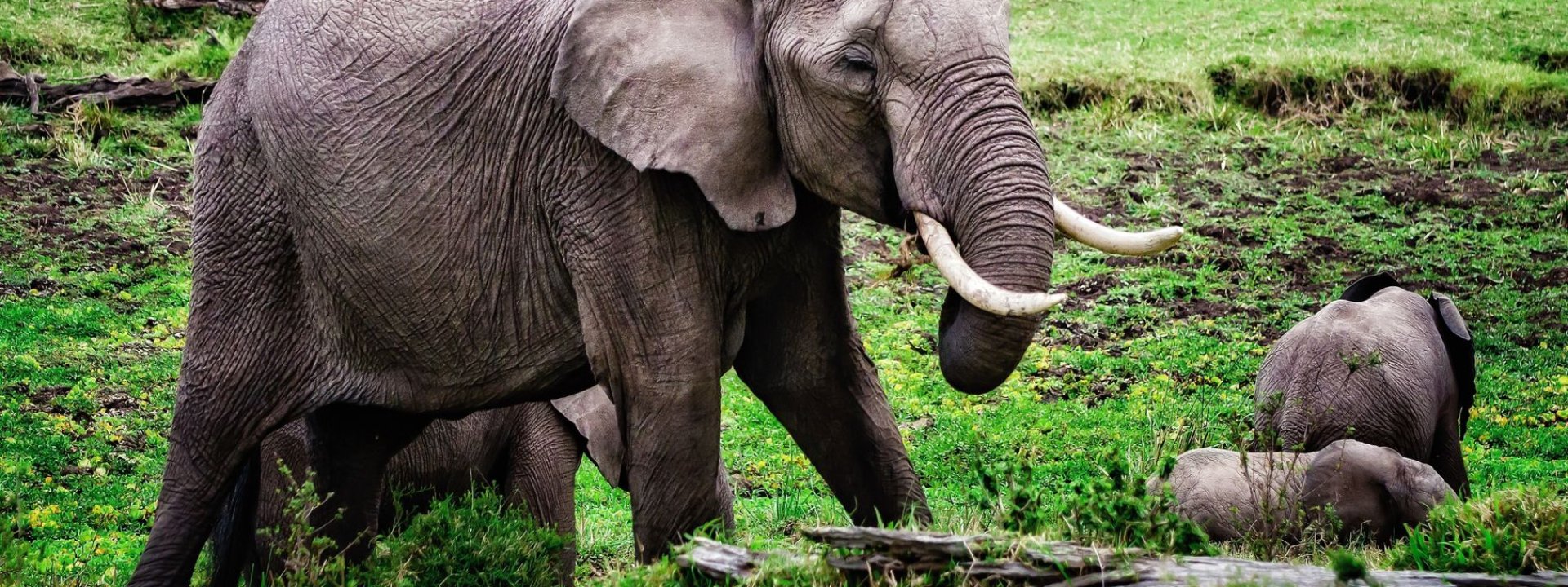 Gabon