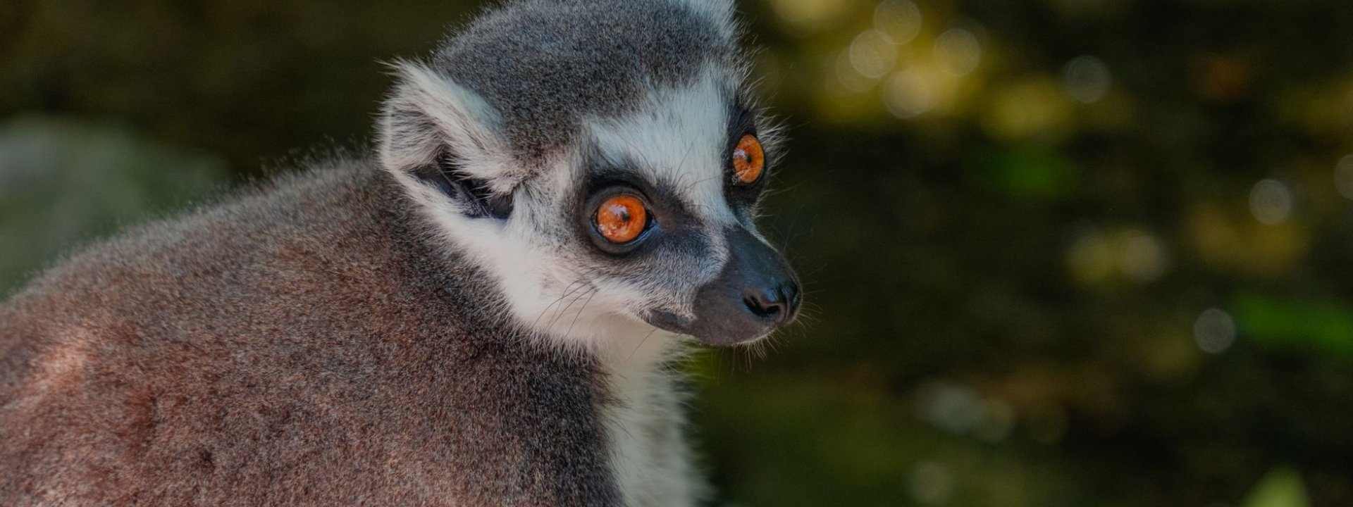 Madagascar