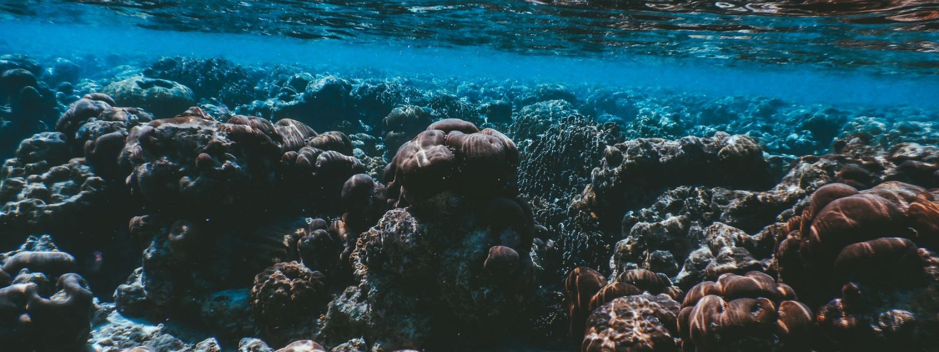 Maldives