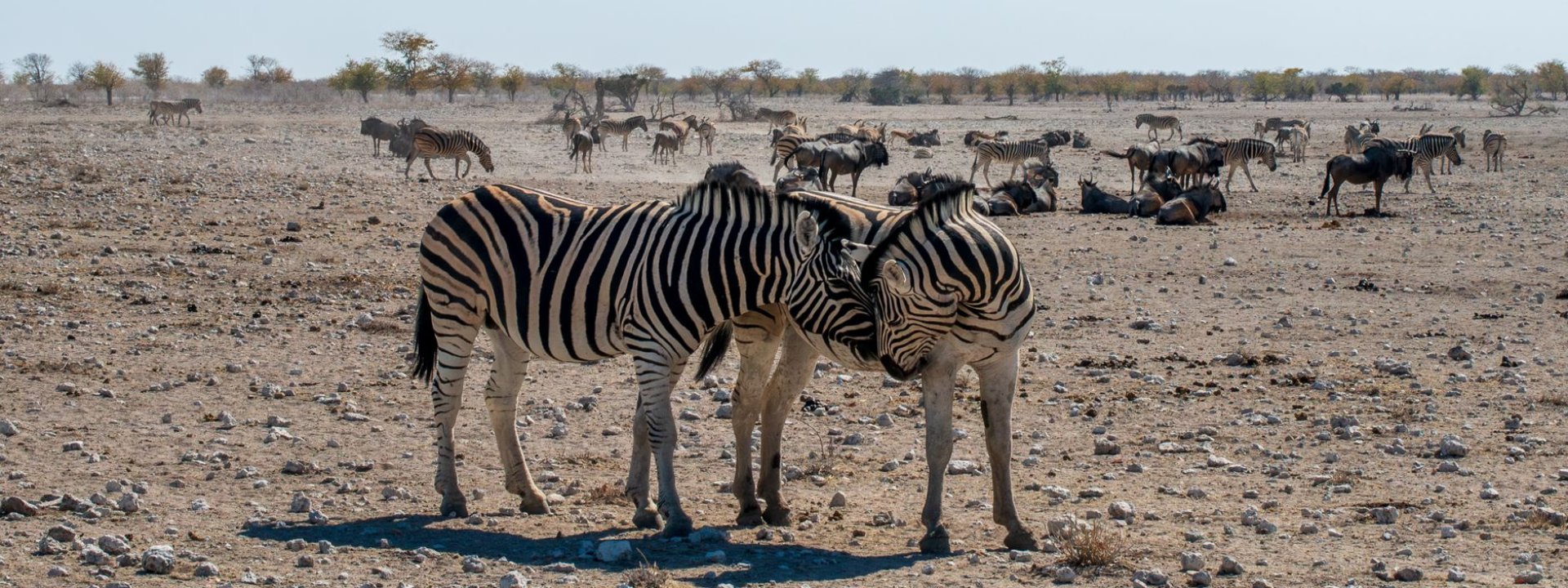 Namibia