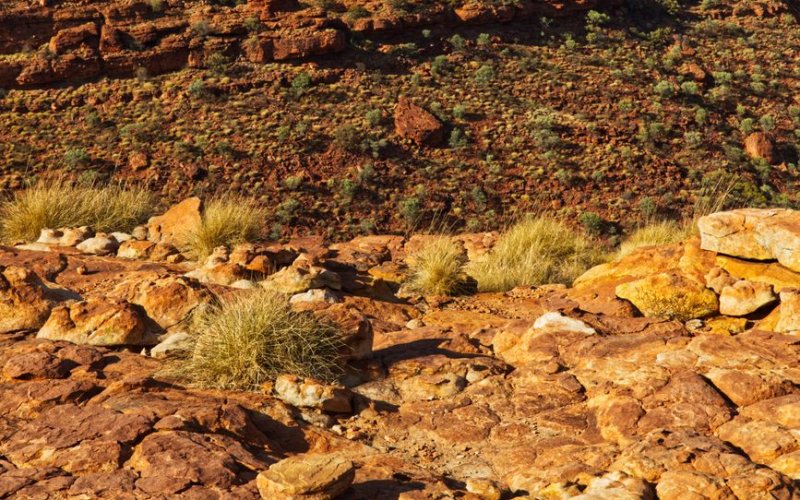The Northern Territory
