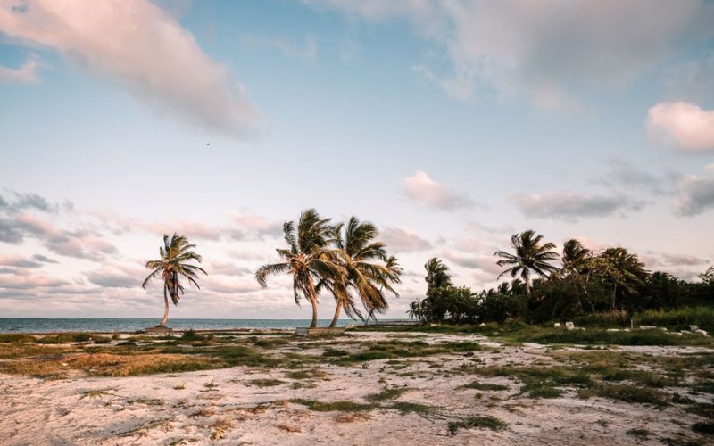 Cayo District