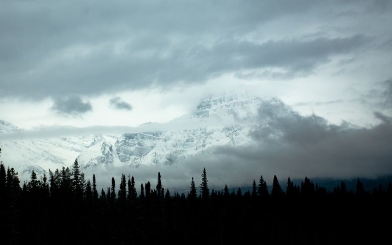 The Canadian North
