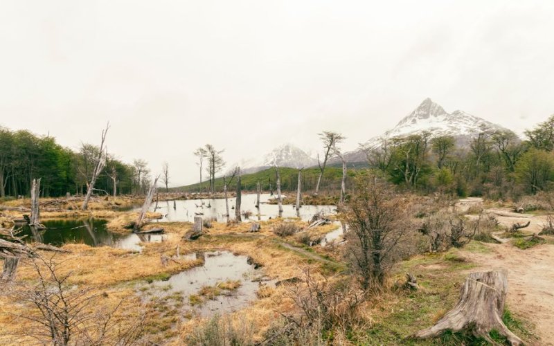 Patagonia & Tierra del Fuego