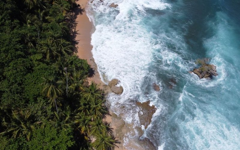 The Caribbean Coast