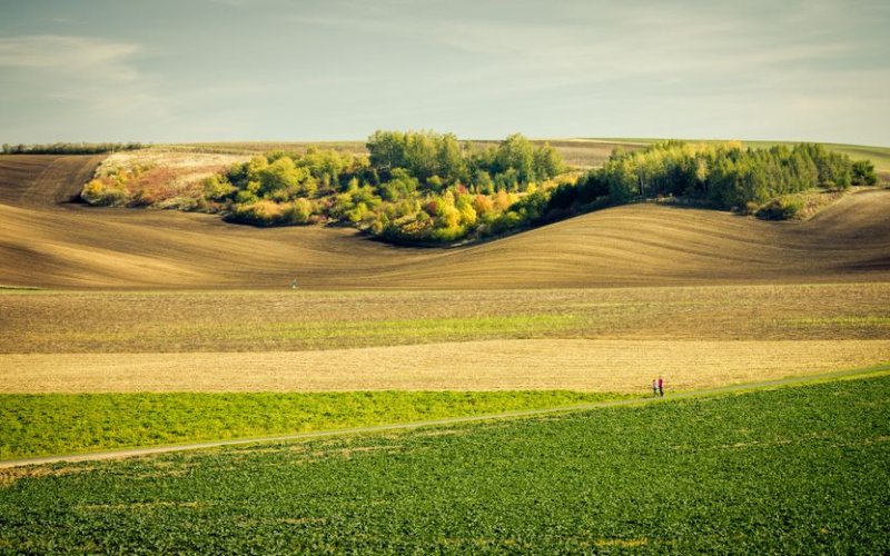 Moravia (East)