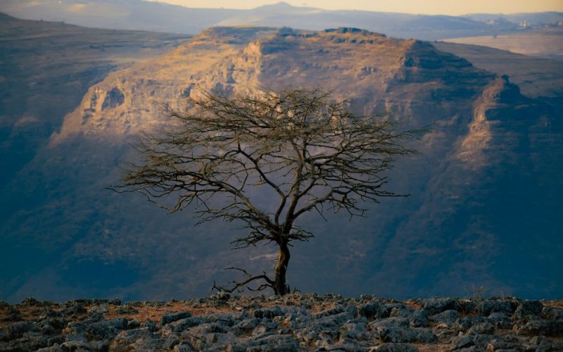 Simien & Bale Mountains