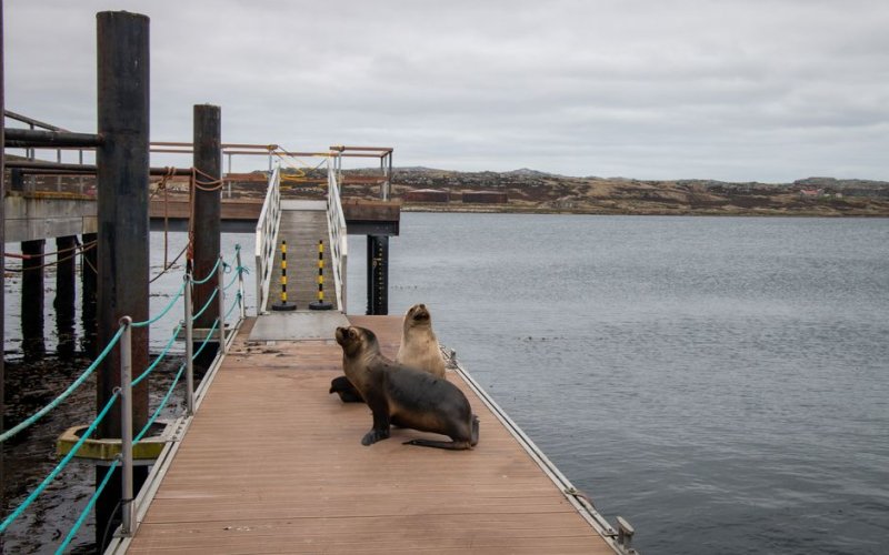 West Falkland