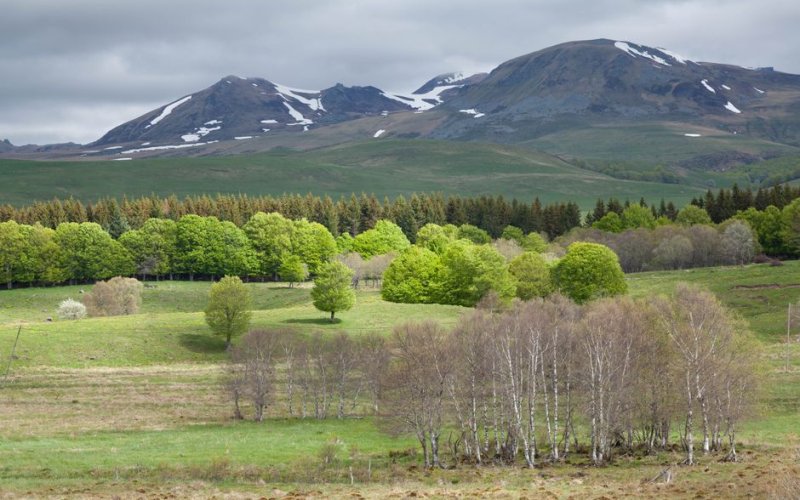Auvergne-Rhône-Alpes