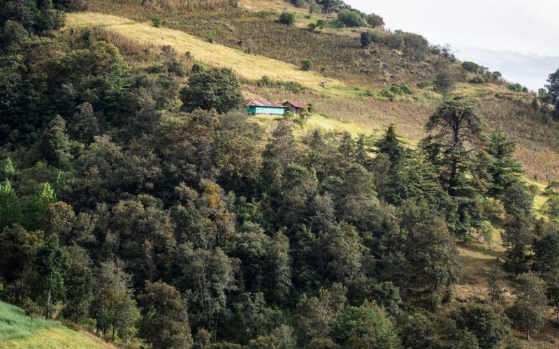 The Western Highlands