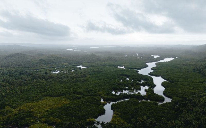 The Coastal Plain