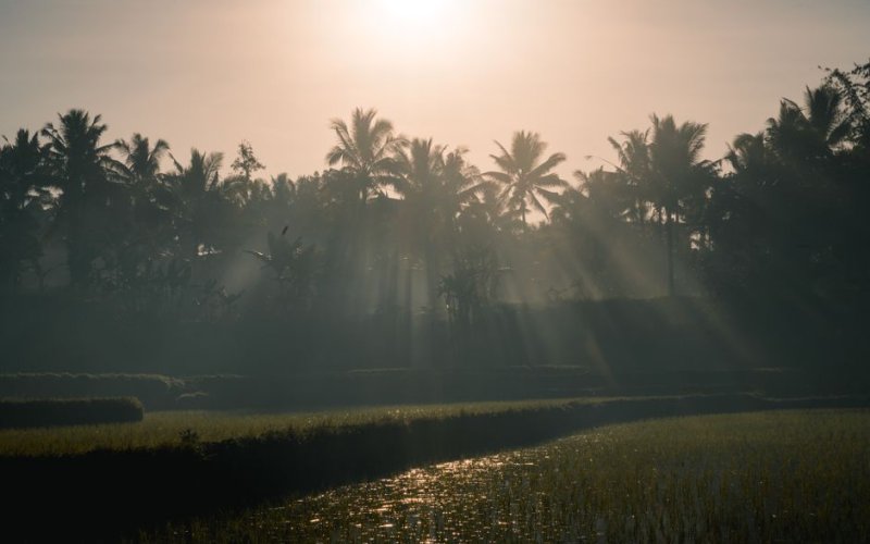 Bali & Nusa Tenggara
