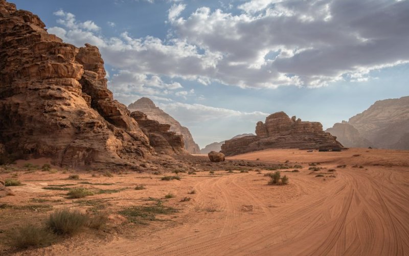 The Desert South