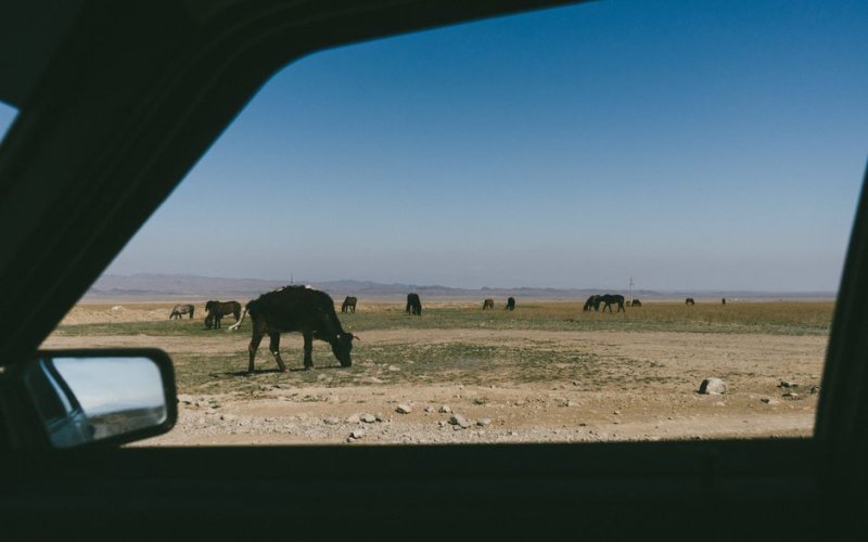 The Northern Steppes & Astana
