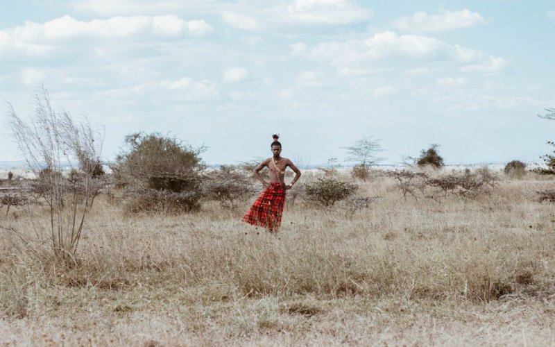 The Southern Savannahs