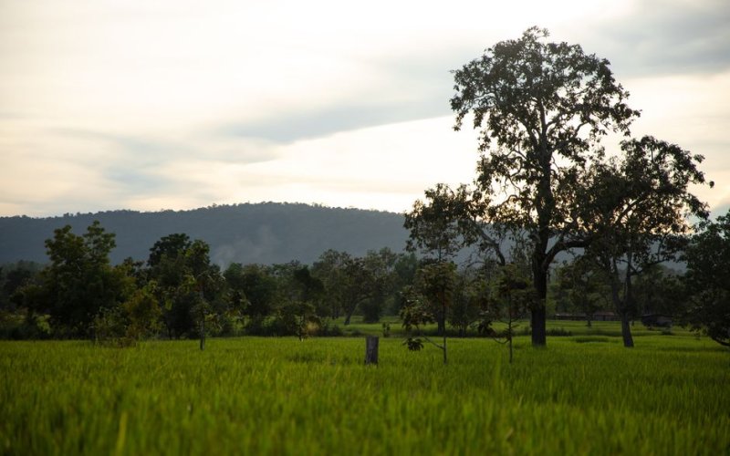 Central Laos