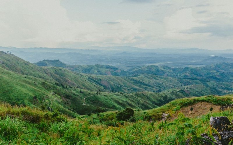 The Central Highlands (Bong & Nimba)