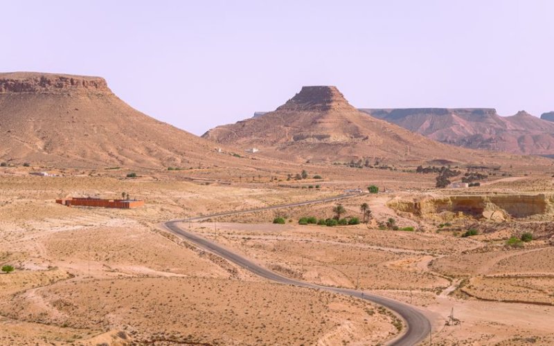 The Saharan North
