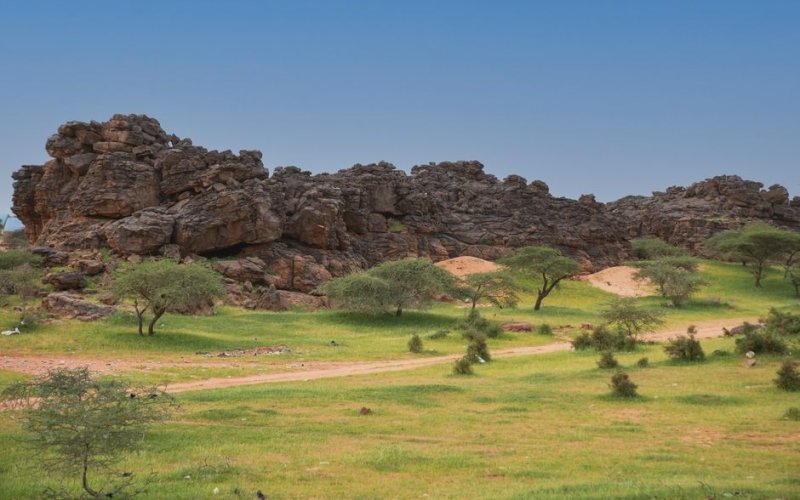 The Tagant Plateau