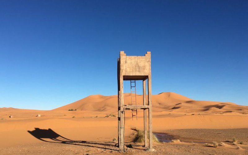 The Saharan South