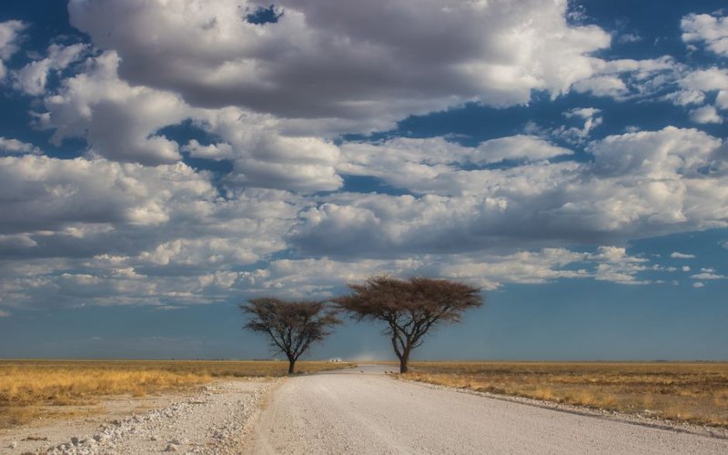 The North and Etosha