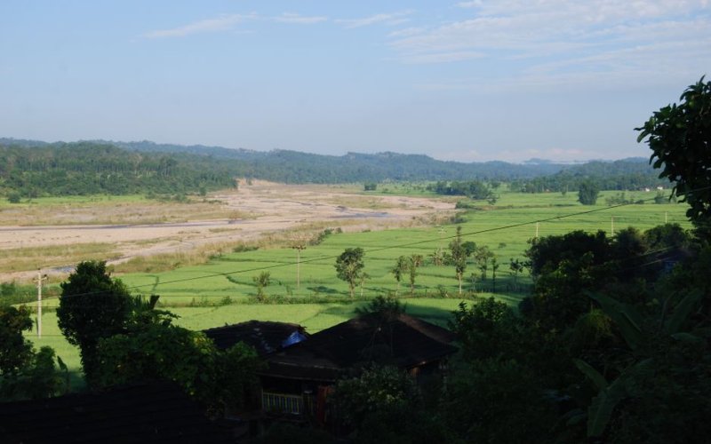 The Terai Plains