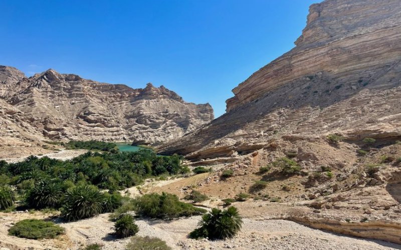 Dhofar (The South)