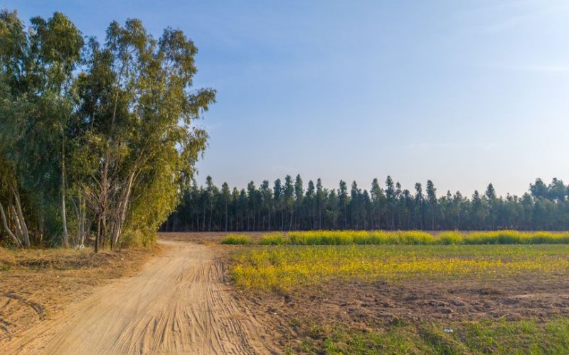 Punjab