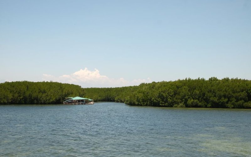 Mindanao